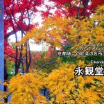 京都のお寺・必ず行きたい紅葉の名所：禅林寺(紅葉の永観堂)