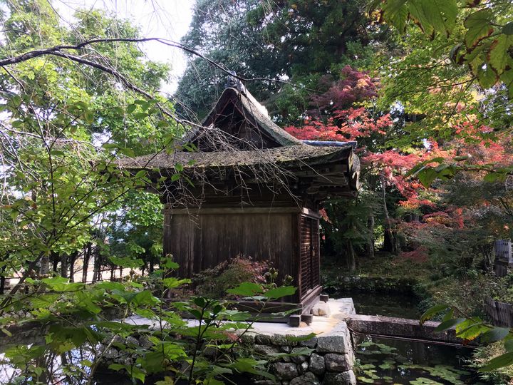 chojuji-cr-02_s