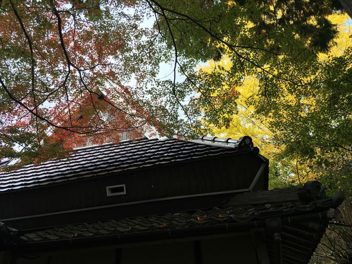 chojuji-cr-03_s
