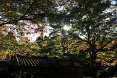 chojuji-cr-05_s