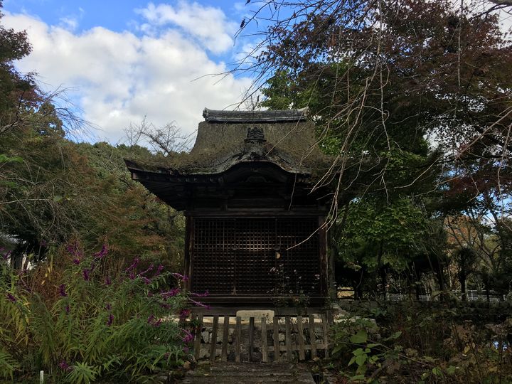 chojuji-19_s
