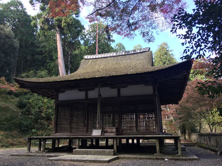 chojuji-22_s