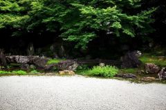 entokuin-18_s
