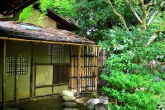 entokuin-20_s