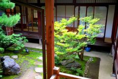 entokuin-22_s