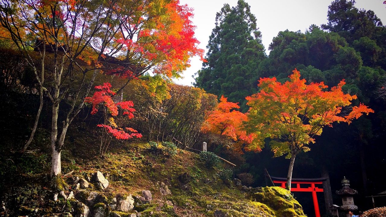 hakuryuen-14_small