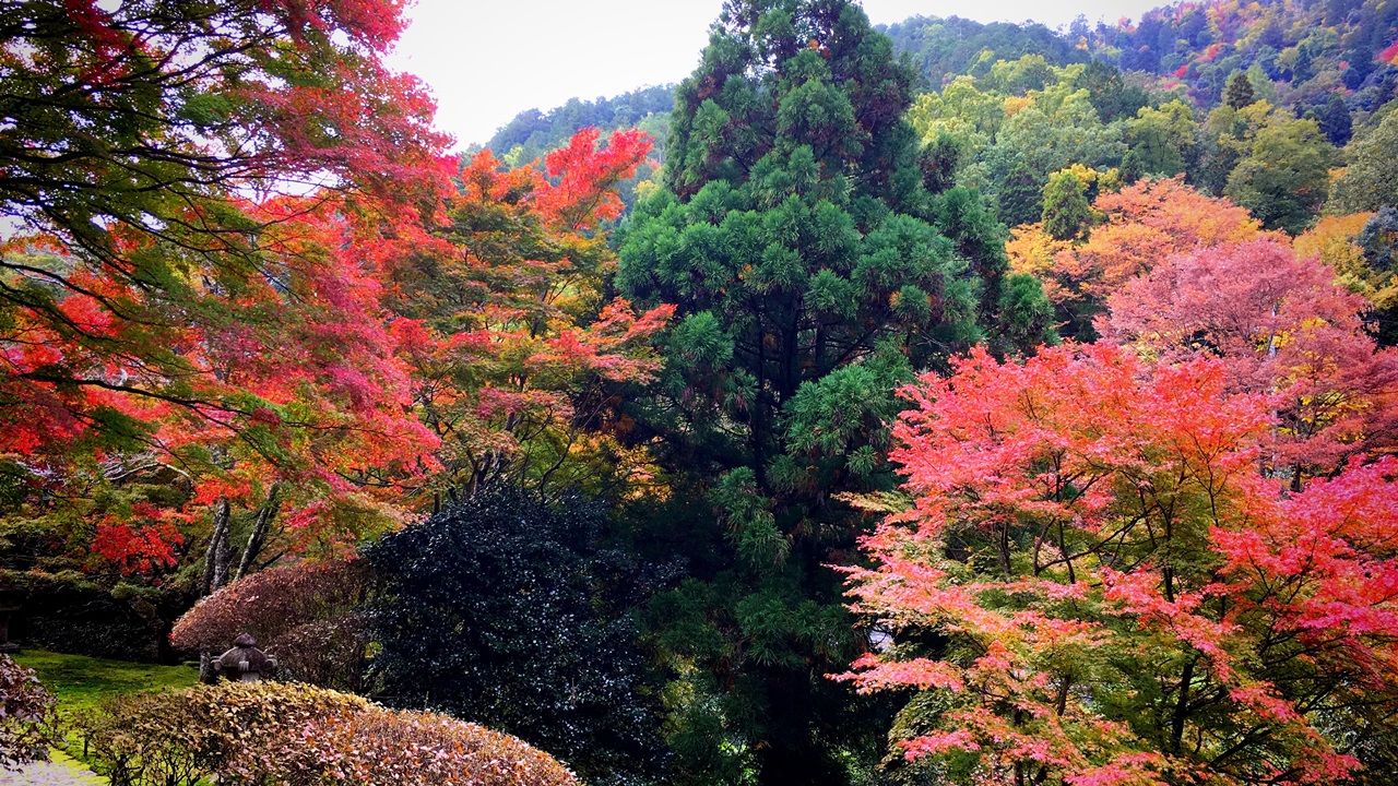 hakuryuen-15_small
