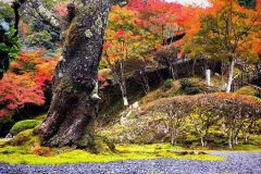 hakuryuen-08_small