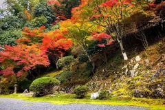 hakuryuen-09_small