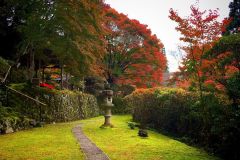 hakuryuen-12_small