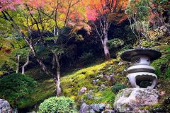 hakuryuen-13_small