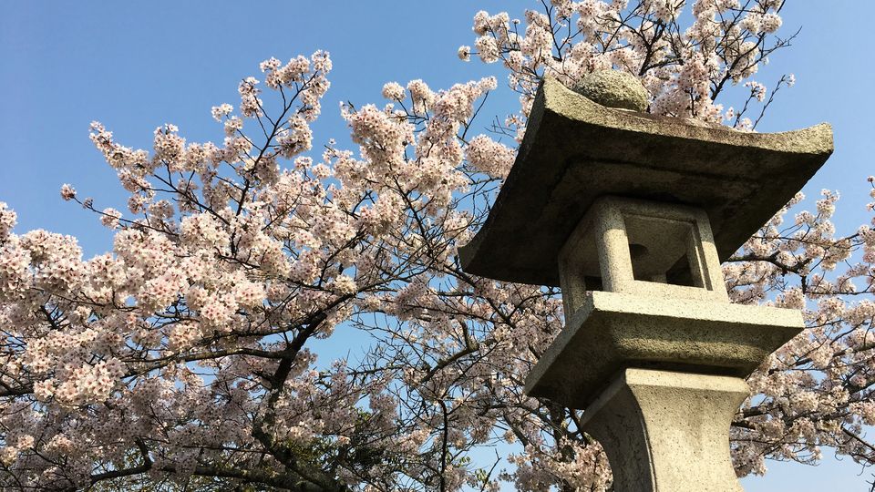 ishiyamadera-cb-03_s