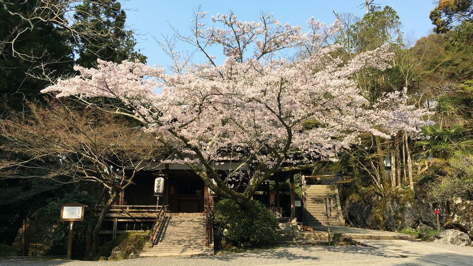 ishiyamadera-cb-05_s