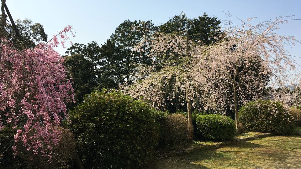 ishiyamadera-cb-09_s