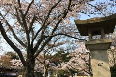 ishiyamadera-cb-02_s
