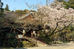 ishiyamadera-cb-04_s