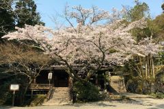 ishiyamadera-cb-05_s