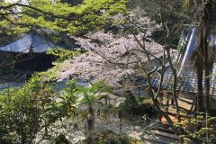 ishiyamadera-cb-06_s