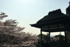 ishiyamadera-cb-07_s