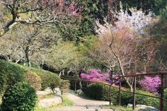 ishiyamadera-cb-08_s