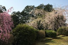 ishiyamadera-cb-09_s