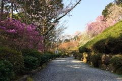 ishiyamadera-cb-10_s