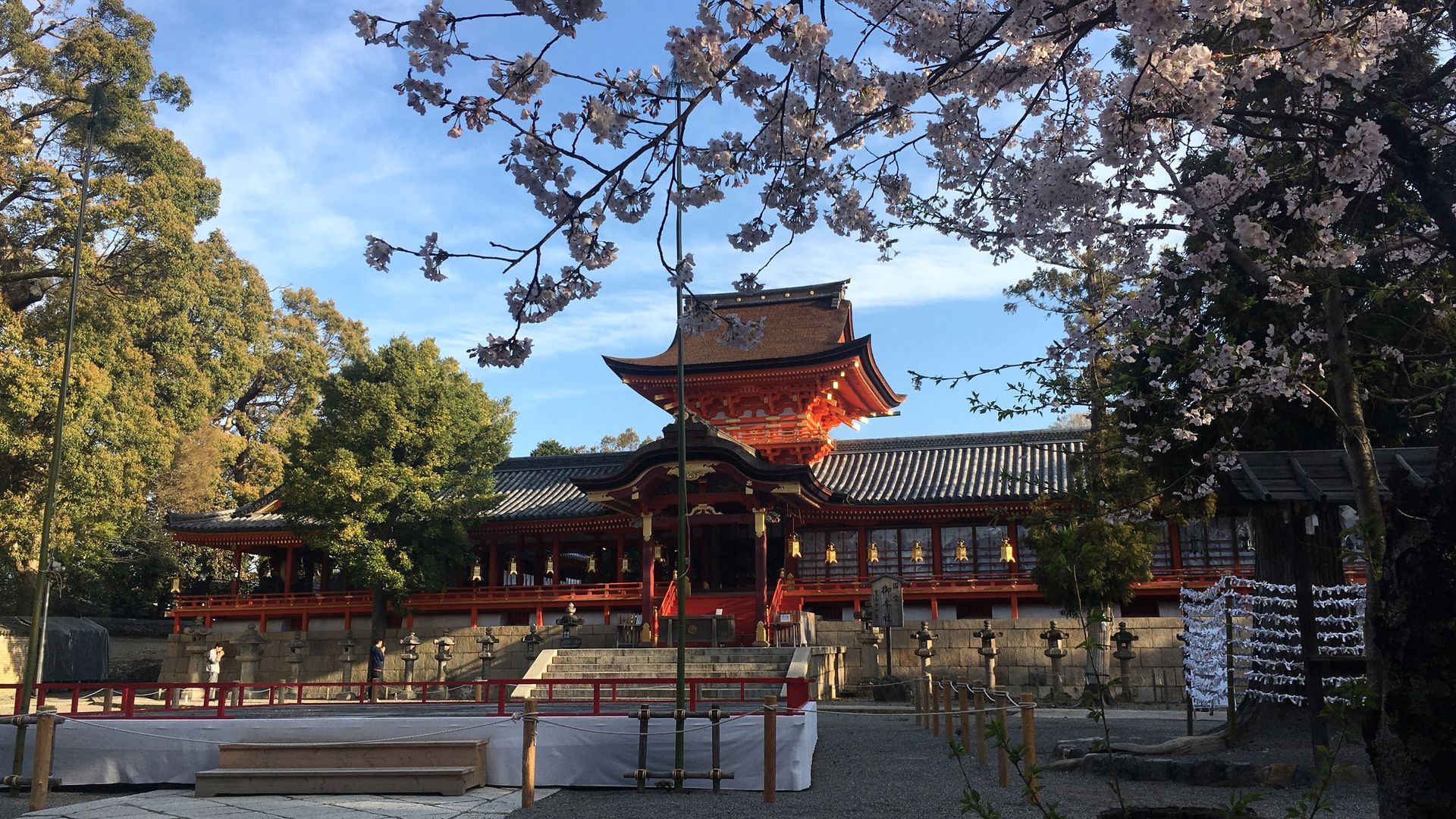 石清水八幡宮の桜1/10