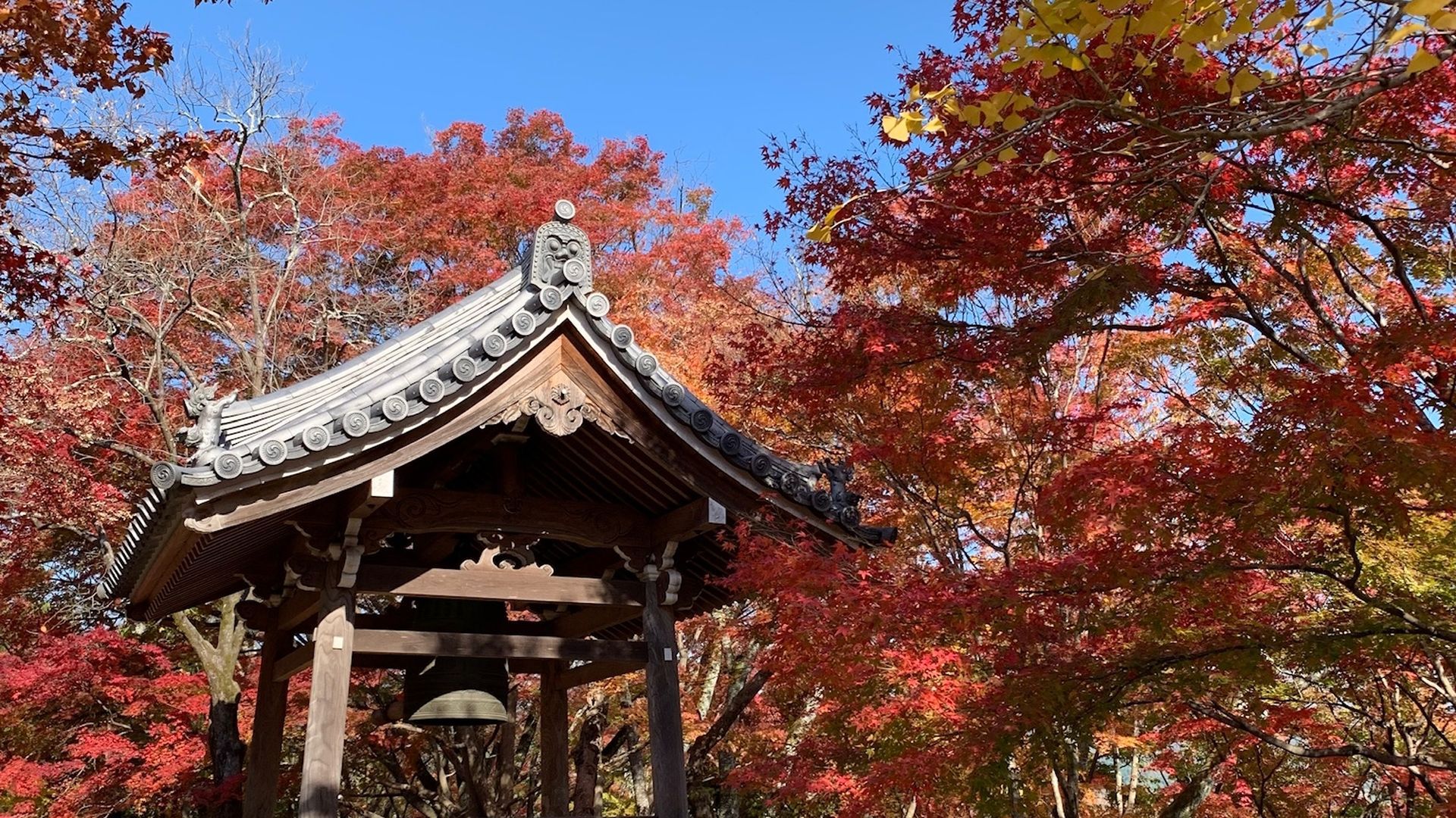 jojakkoji-photoac-03_s