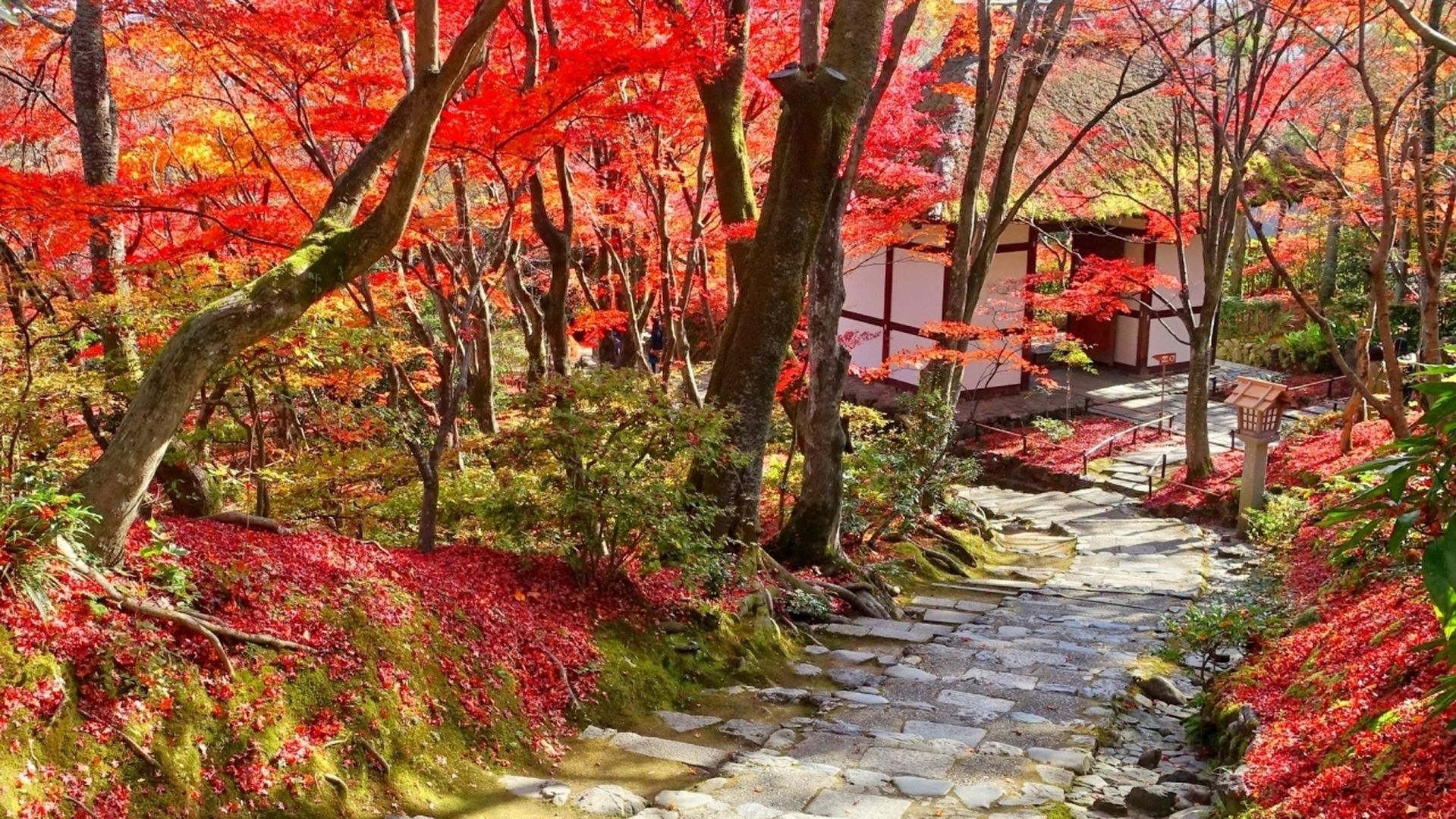 jojakkoji-photoac-04_s