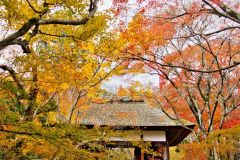 jojakkoji-photoac-02_s