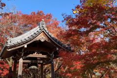 jojakkoji-photoac-03_s
