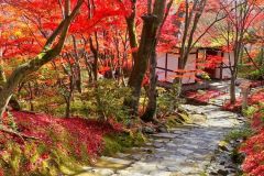 jojakkoji-photoac-04_s