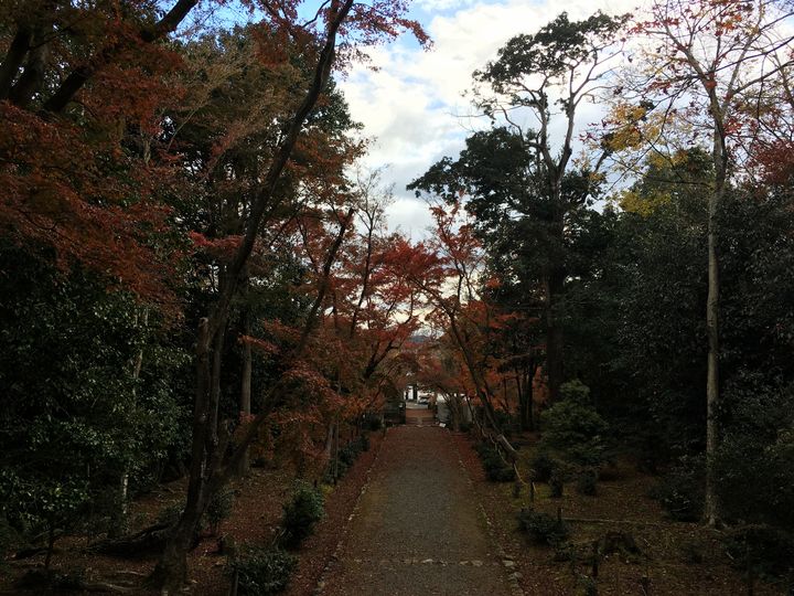 jojuji-cr-05_s