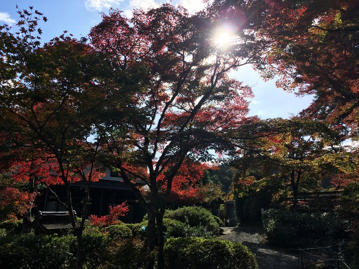 jorakuji-cr-06_s