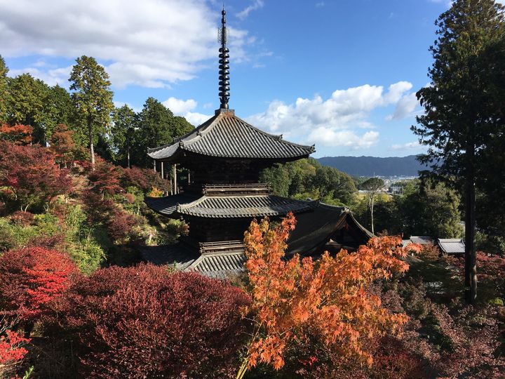 jorakuji-15-2_s