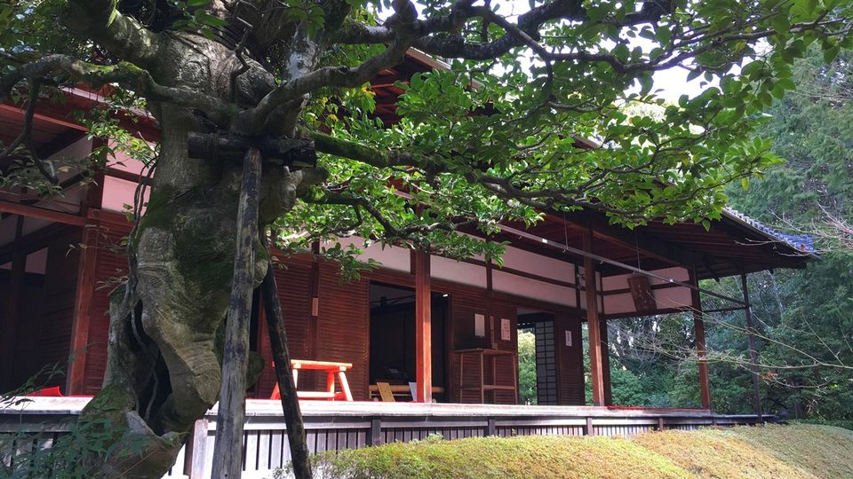 keishunin-06_s