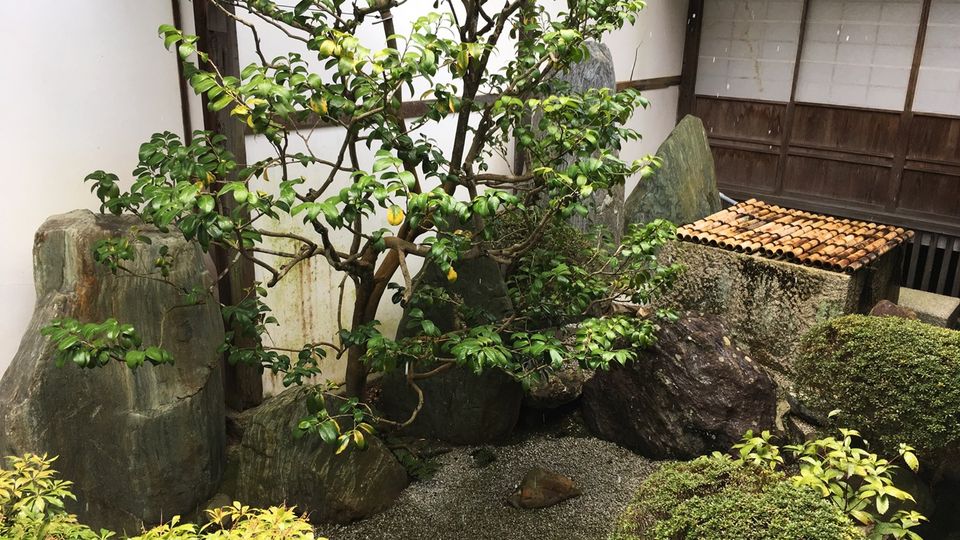 keishunin-07-2_s