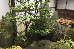 keishunin-07-2_s