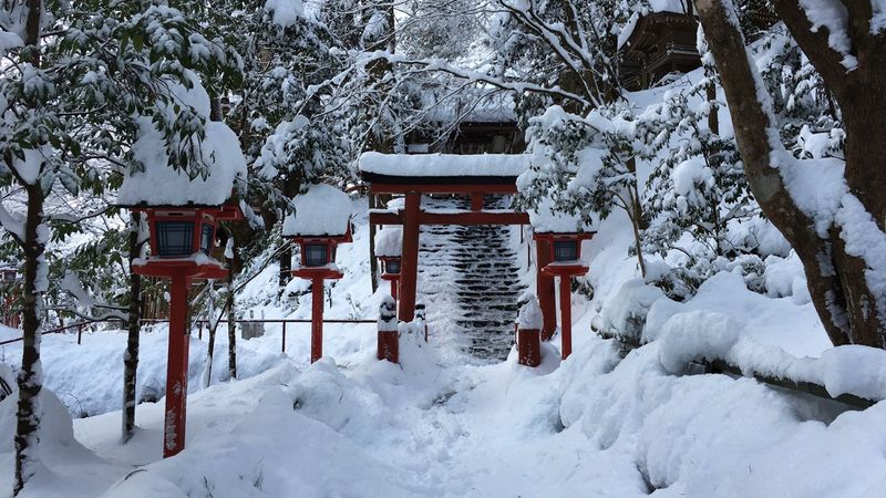 kifunejinja-34_s