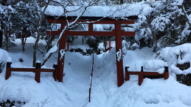 kifunejinja-35_s