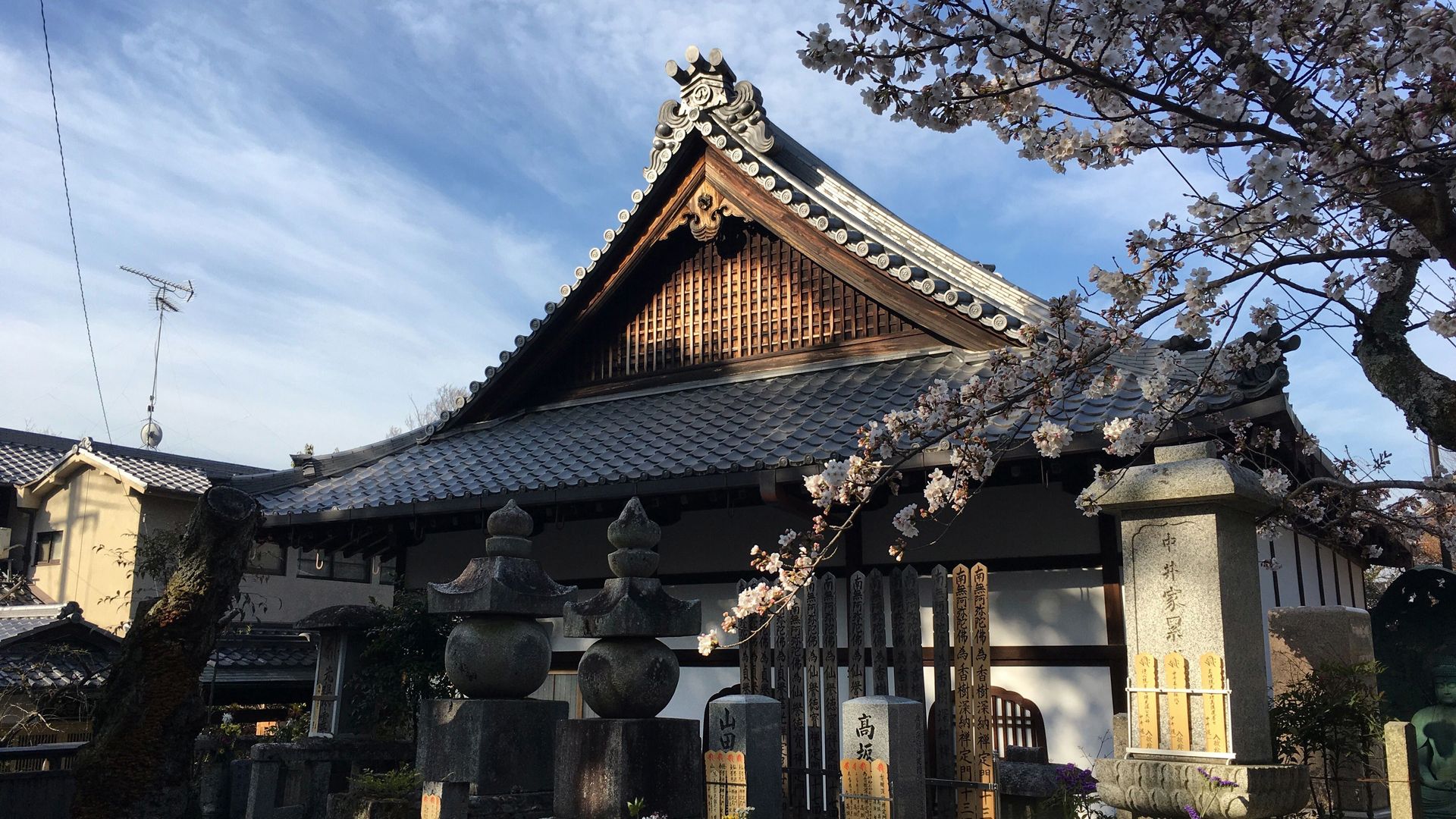 金戒光明寺の桜１１