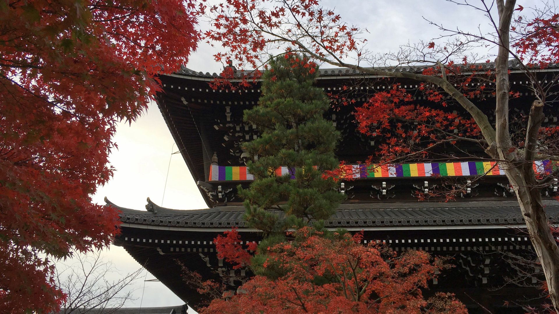 金戒光明寺の紅葉０２