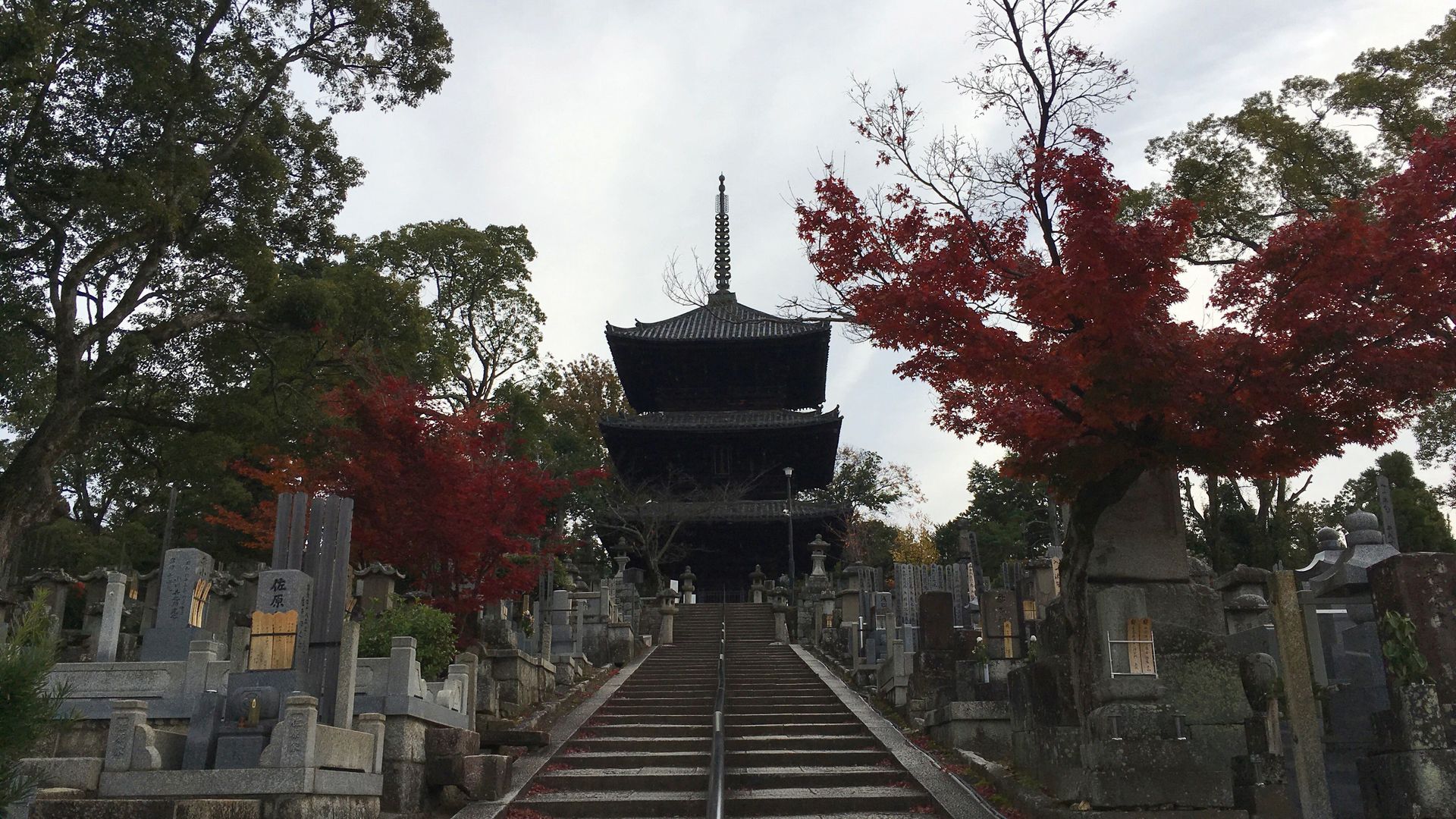 金戒光明寺の紅葉０３