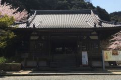 miidera-30_s