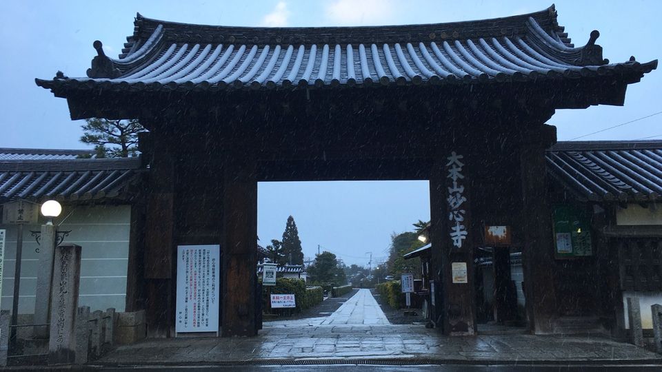 myoshinji-12_s