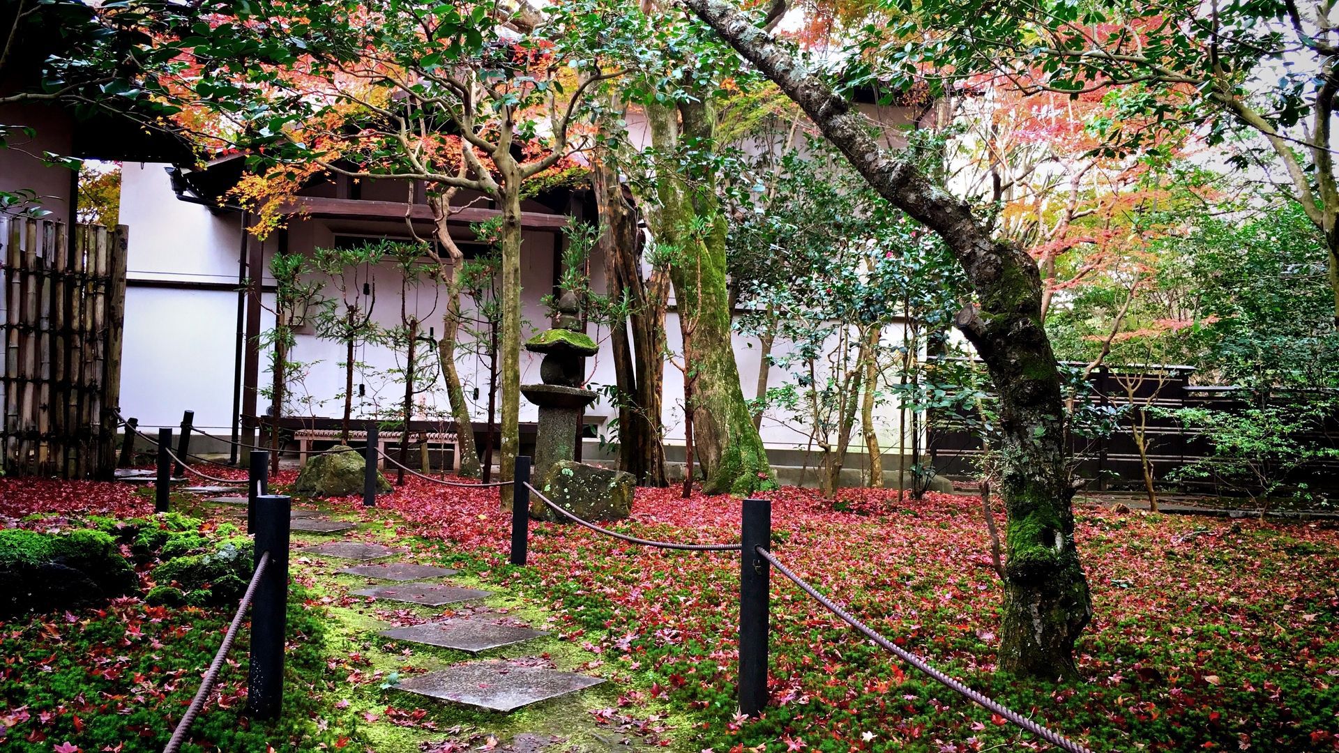霊鑑寺の紅葉０３