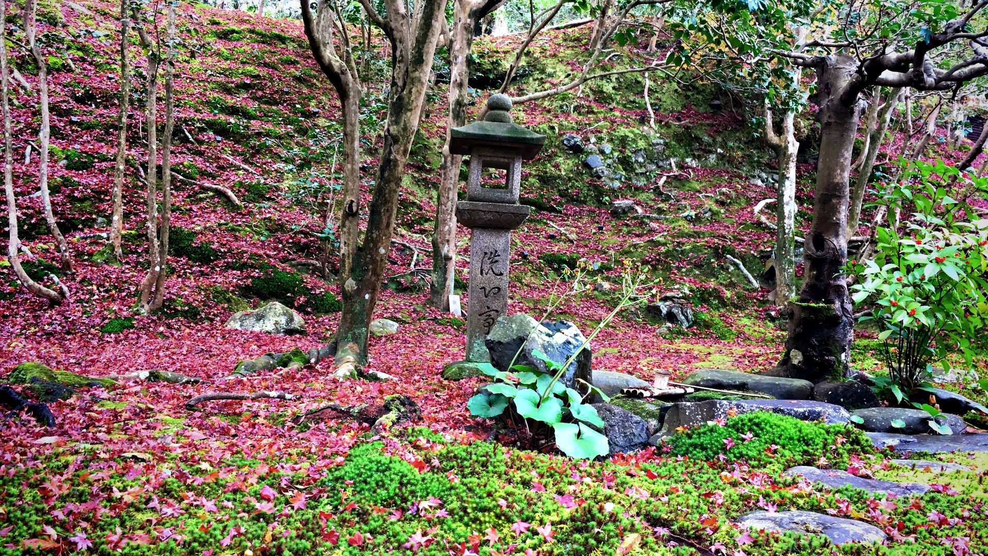 霊鑑寺の紅葉０５