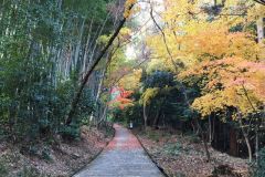 shojiji-cr-01_s