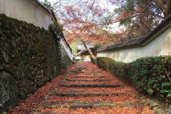 shojiji-cr-03_s