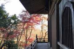 shojiji-cr-06_s
